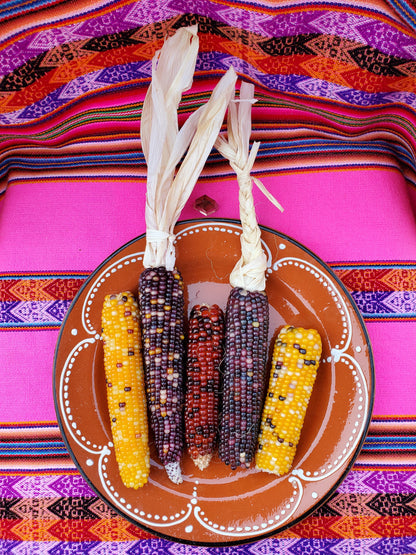 Heirloom Popcorn (on the cob)